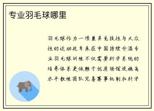 专业羽毛球哪里