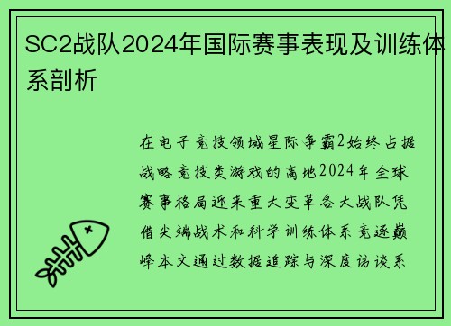 SC2战队2024年国际赛事表现及训练体系剖析